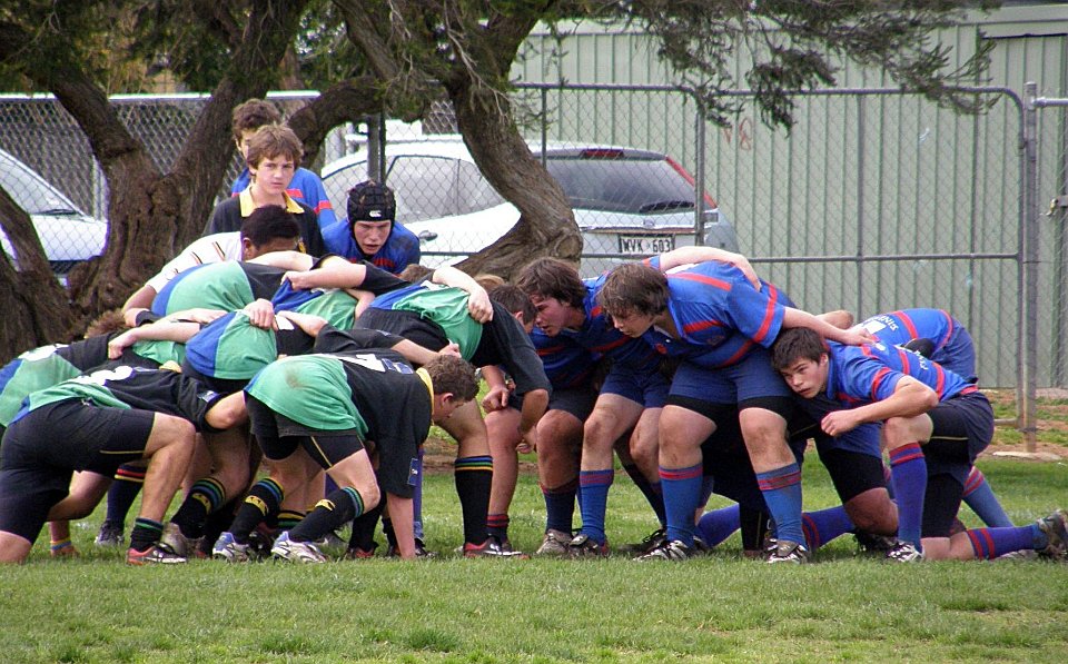 16s semi 7